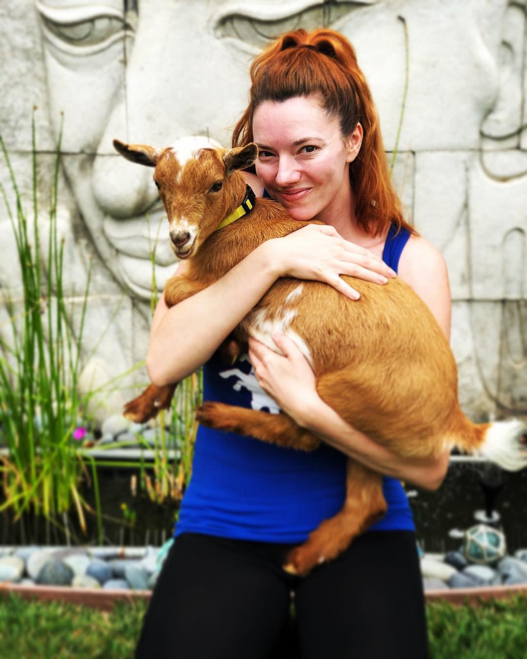Goat Yoga in Los Angeles. Goats for parties, events, film shoots!, and  hiking with goats in Los Angeles! - Party Goats LA